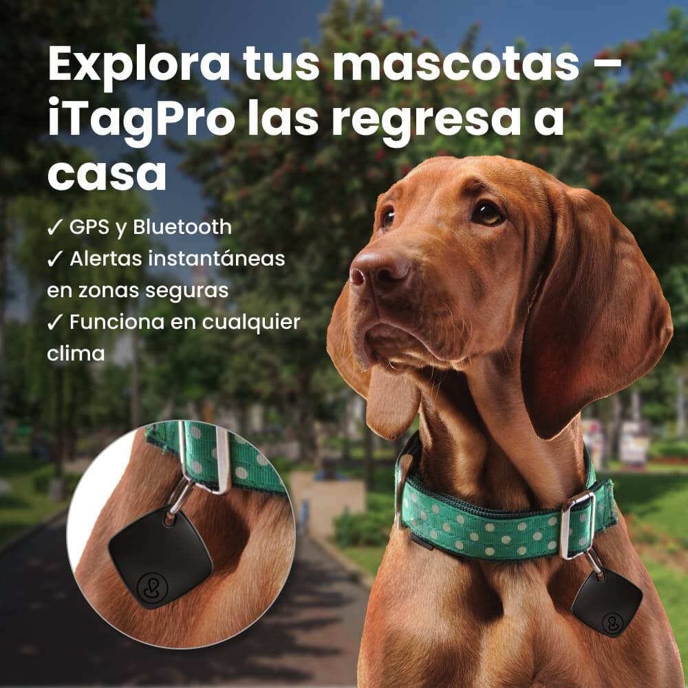 CartySaver image
