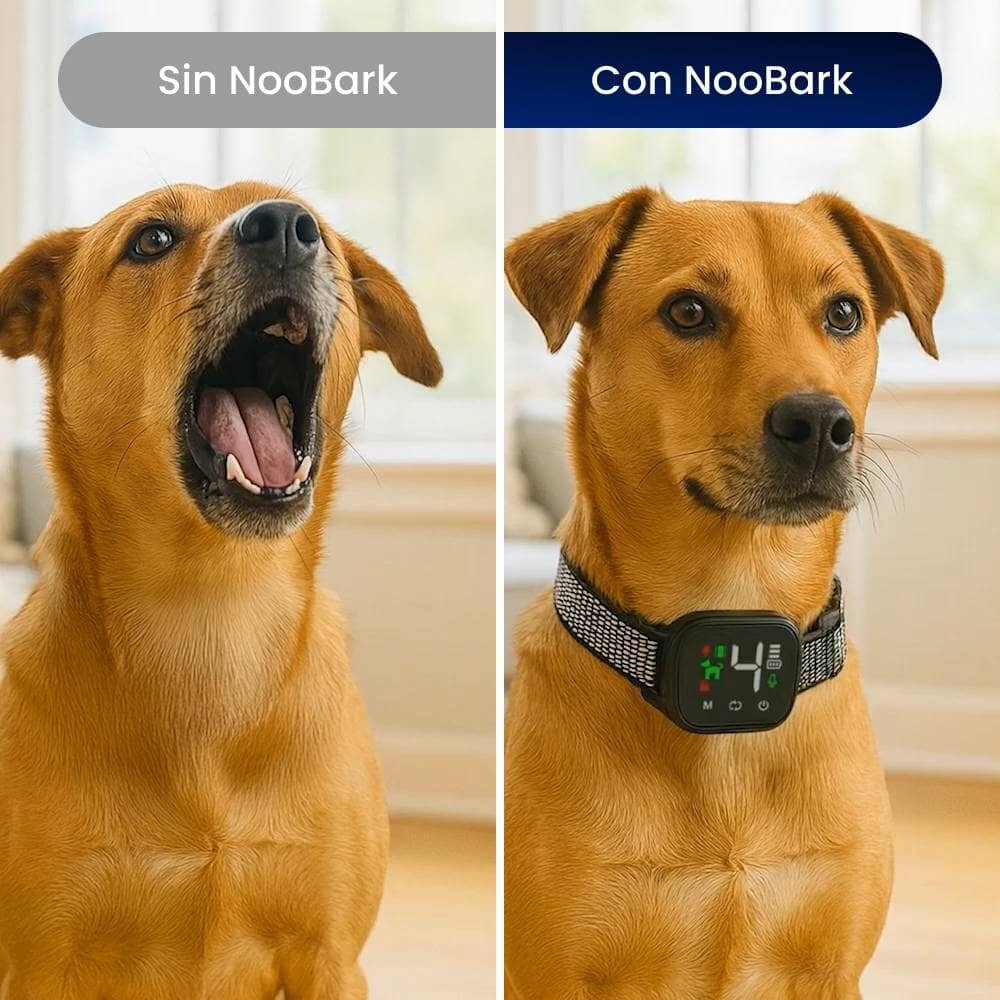 CartySaver image