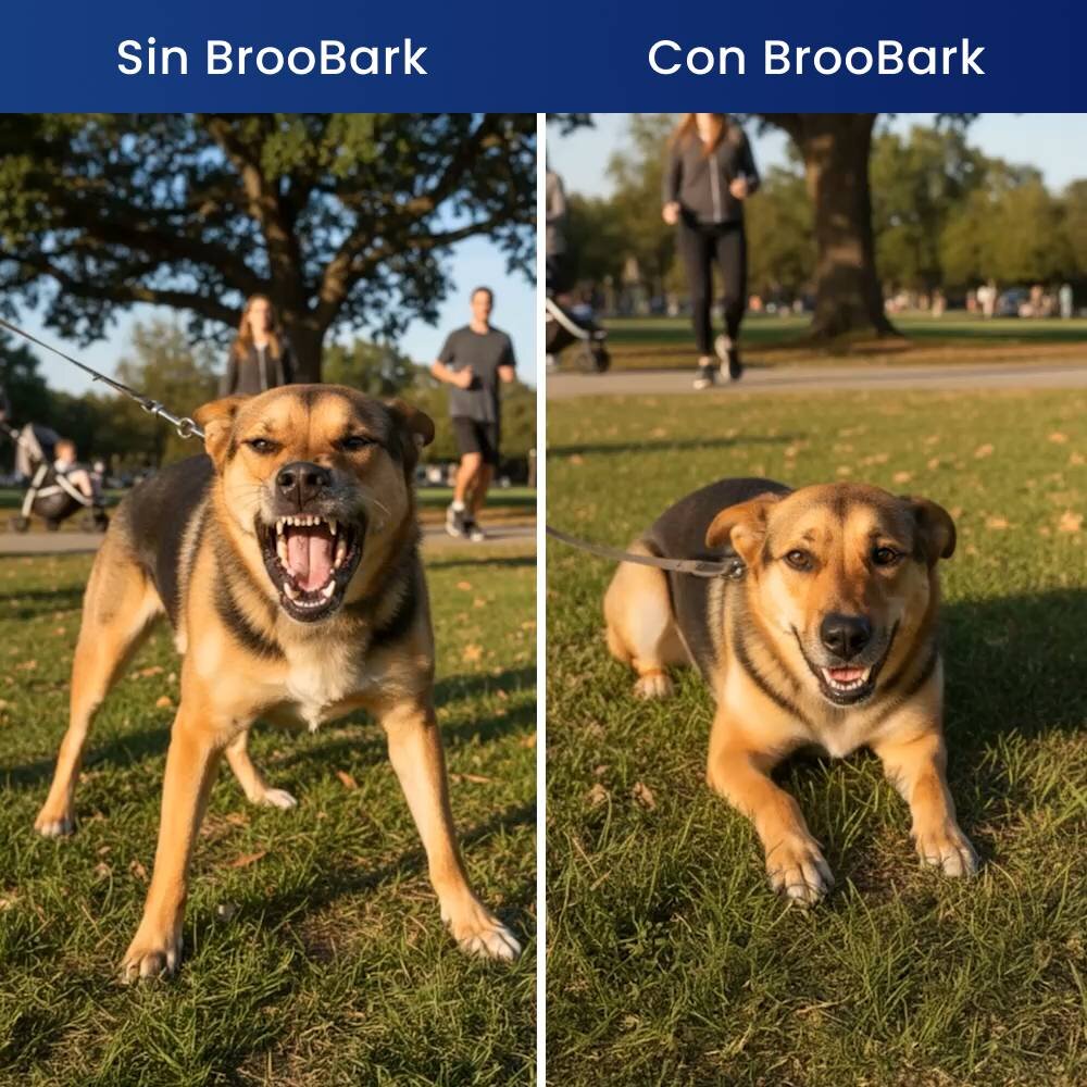 CartySaver image