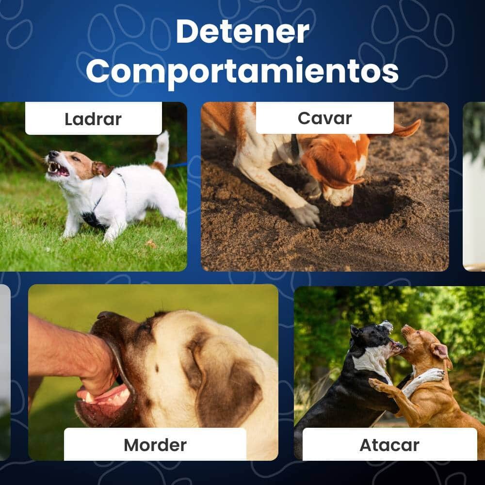 CartySaver image