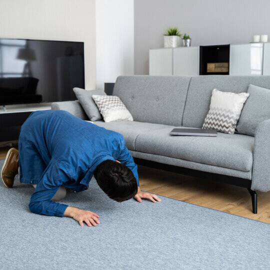 CartySaver image