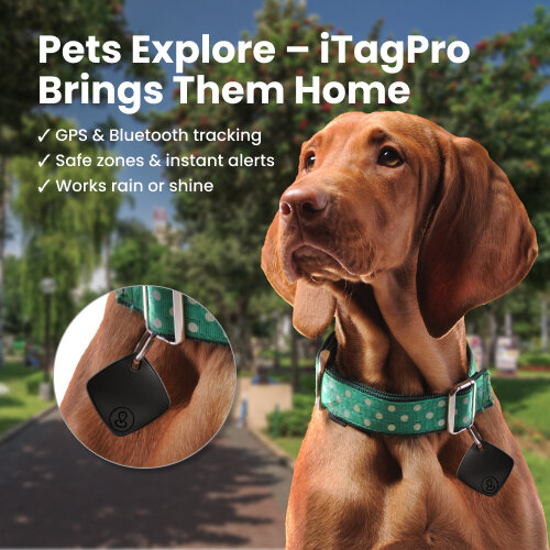CartySaver image